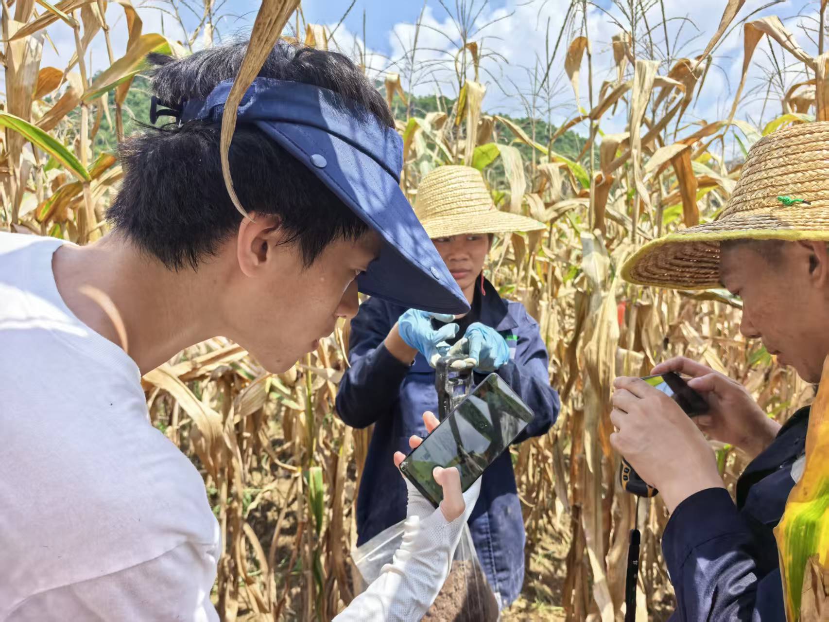 Daniel taking notes beside a cornfield