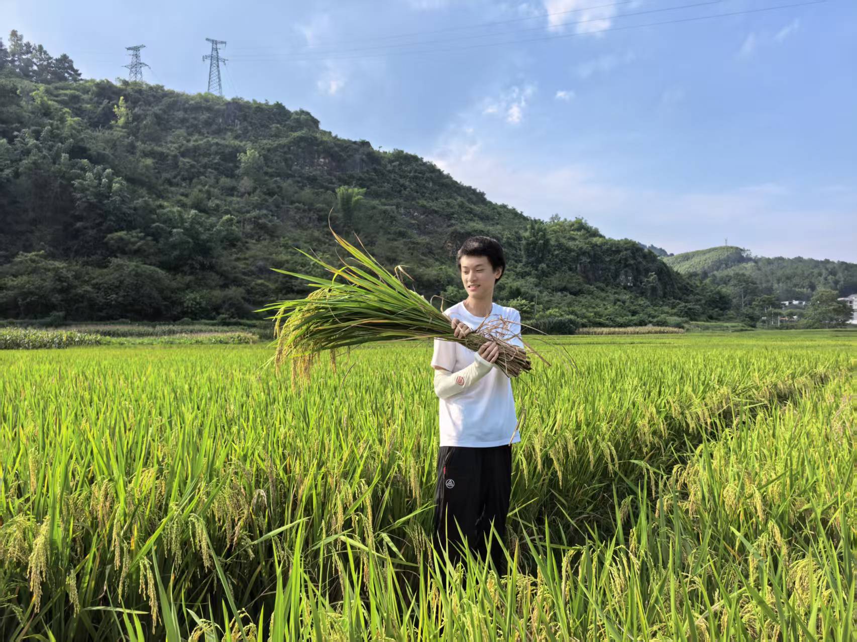 Daniel holding a bundle of freshly harvested rice in a green paddy field