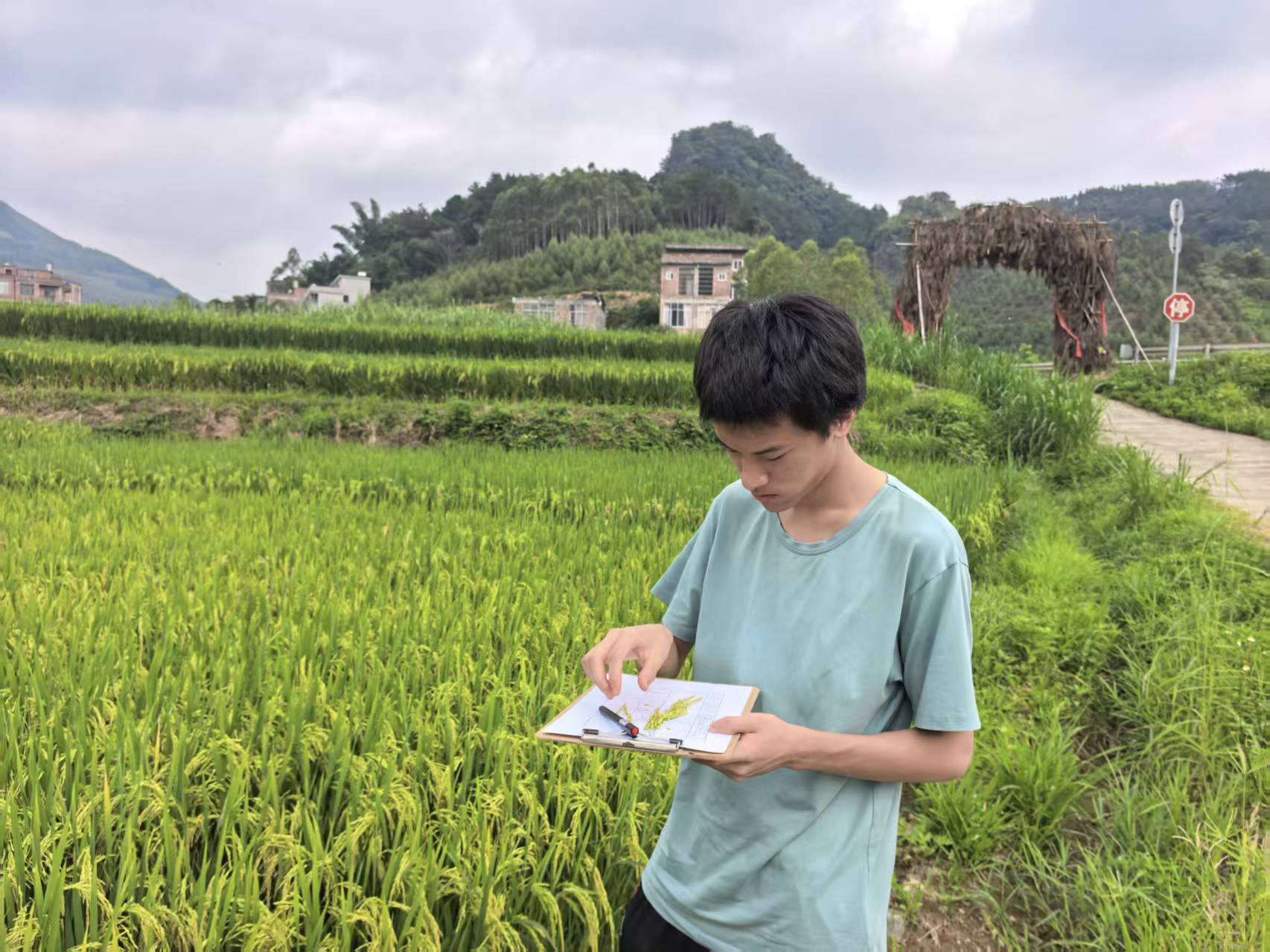Daniel taking notes in a rice field