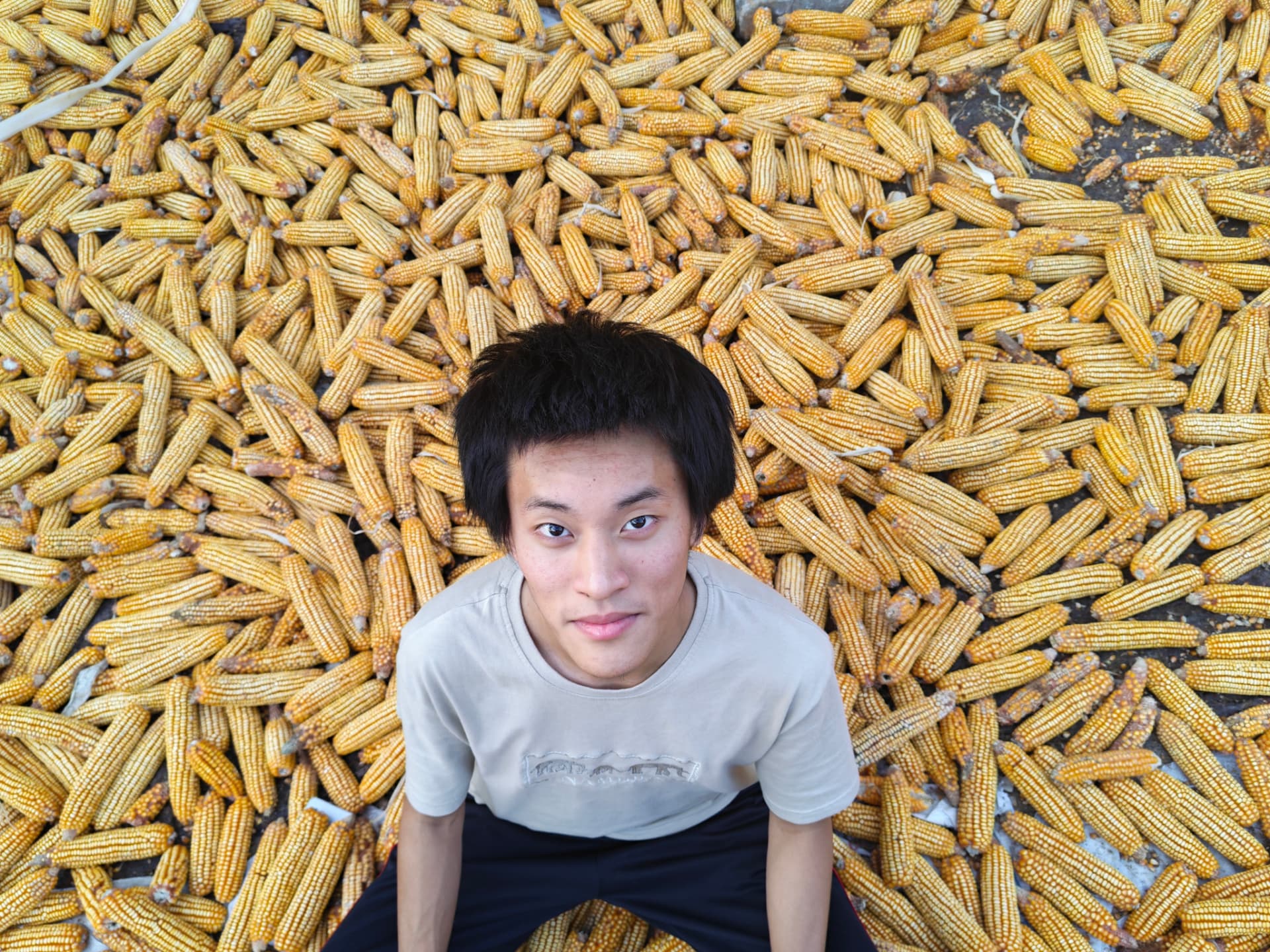 Daniel crouching among a yard full of drying corn cobs