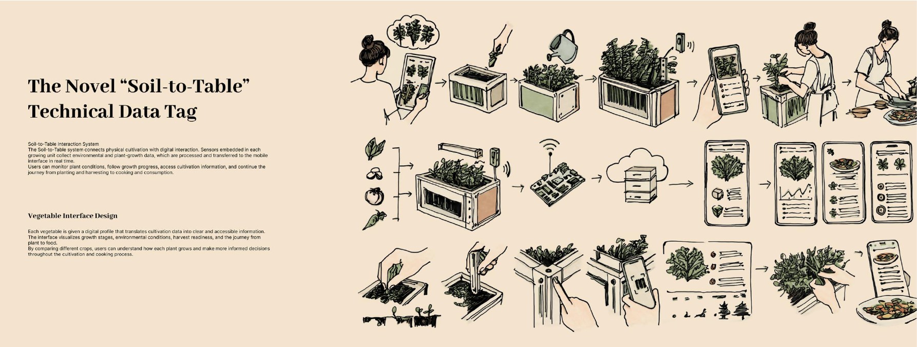 Edible Kitchen portfolio, page 3