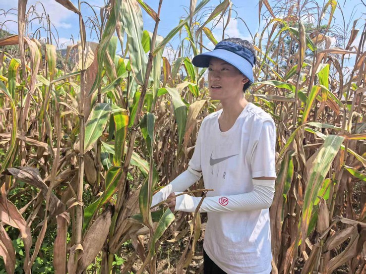 Daniel observing a cornfield in Guangxi