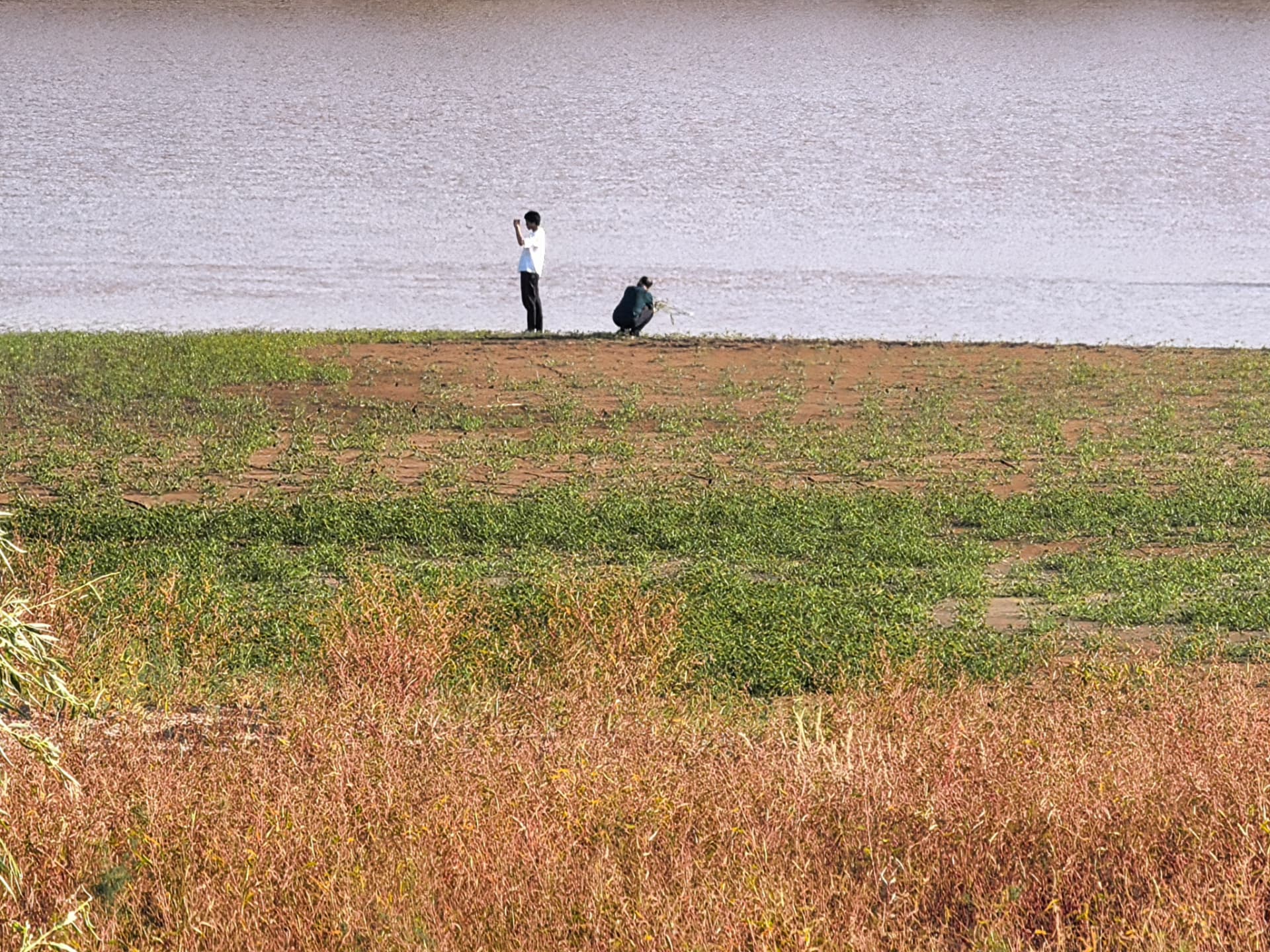 Daniel and a companion recording a sample site on a river bank
