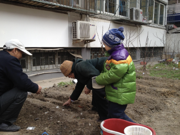 Young Daniel sowing seeds with his grandfather